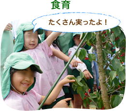 食育